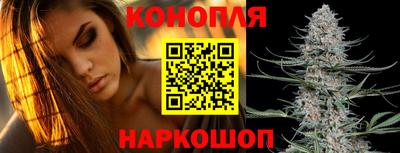 дурь Сланцы