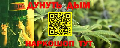дурь Сланцы