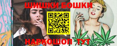 дурь Сланцы