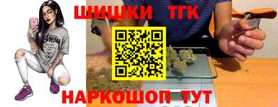 дурь Сланцы