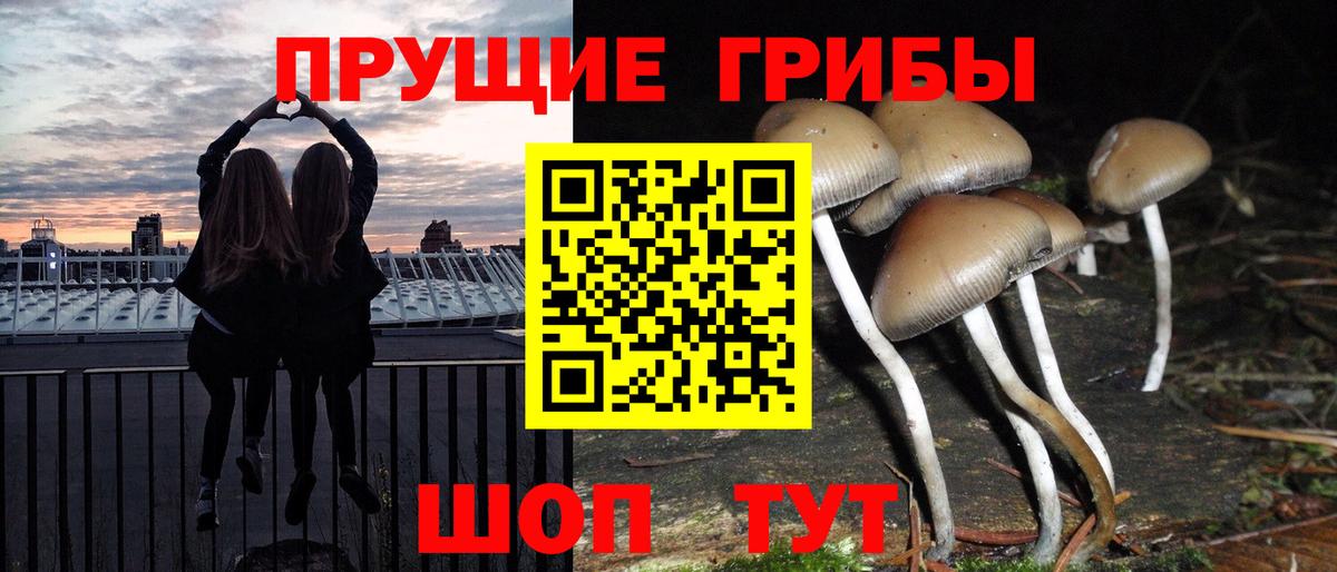 Галлюциногенные грибы MAGIC MUSHROOMS  даркнет сайт  Саратов  Вход с VPN  Галлюциногенные грибы прущие грибы 