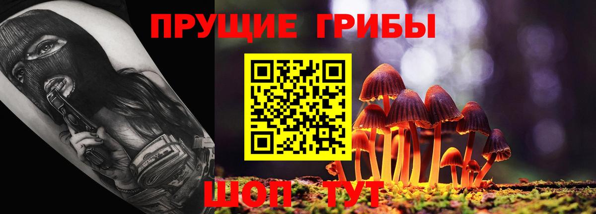 Псилоцибиновые грибы прущие грибы Саратов